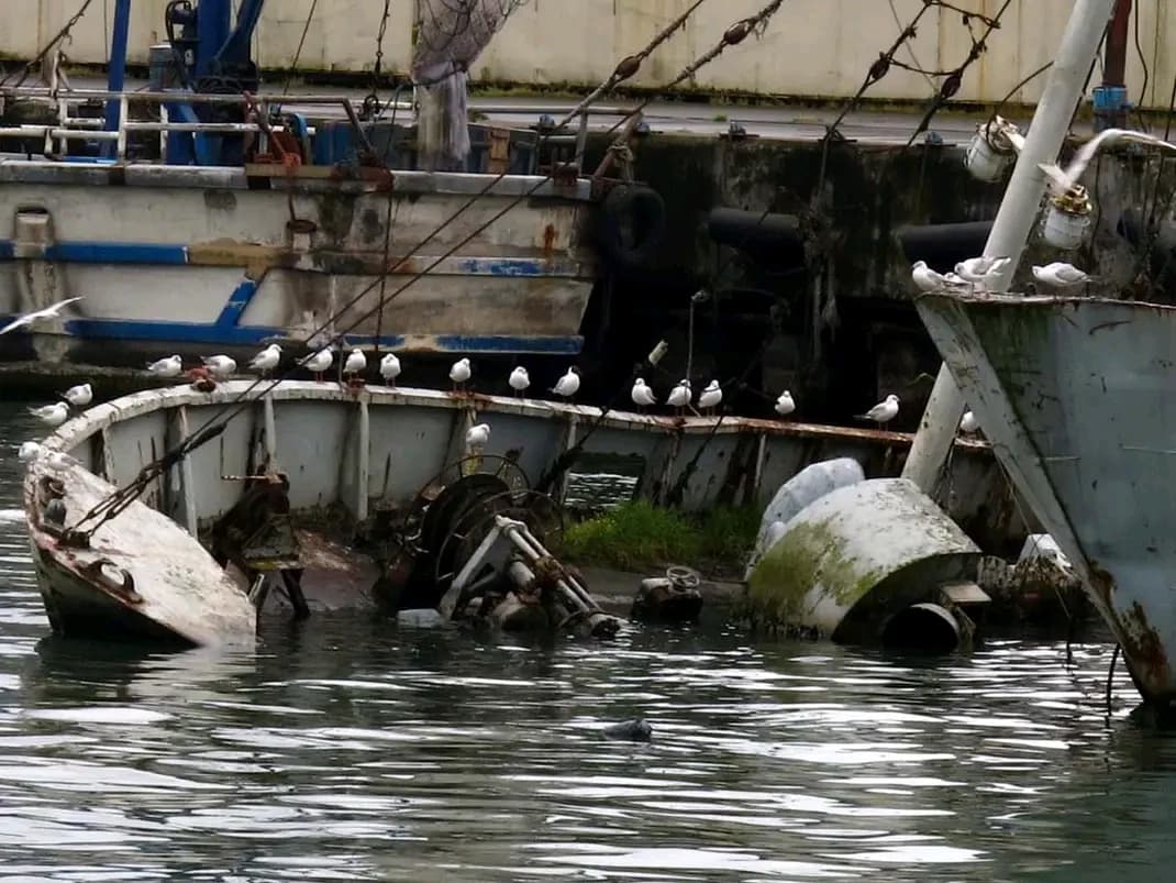 FB IMG 16743175123272148 by Zohreh Bakhshi