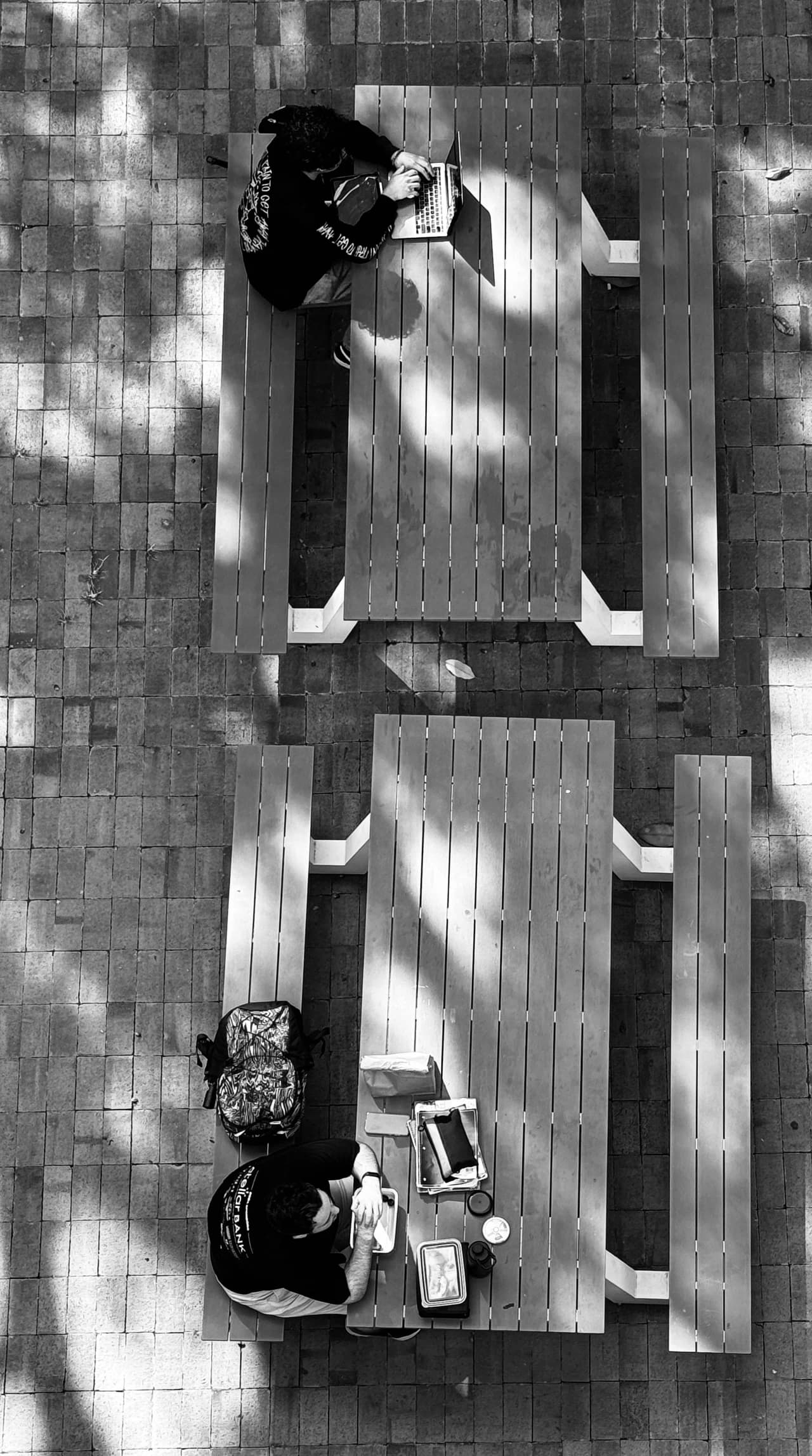 IMG 1136 copy by Zohreh Bakhshi