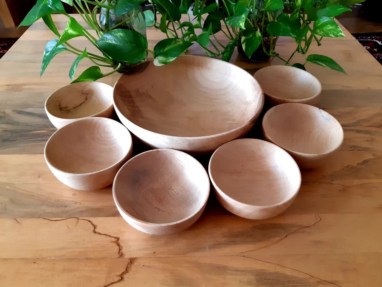 20190221 150658 by Zohreh Bakhshi