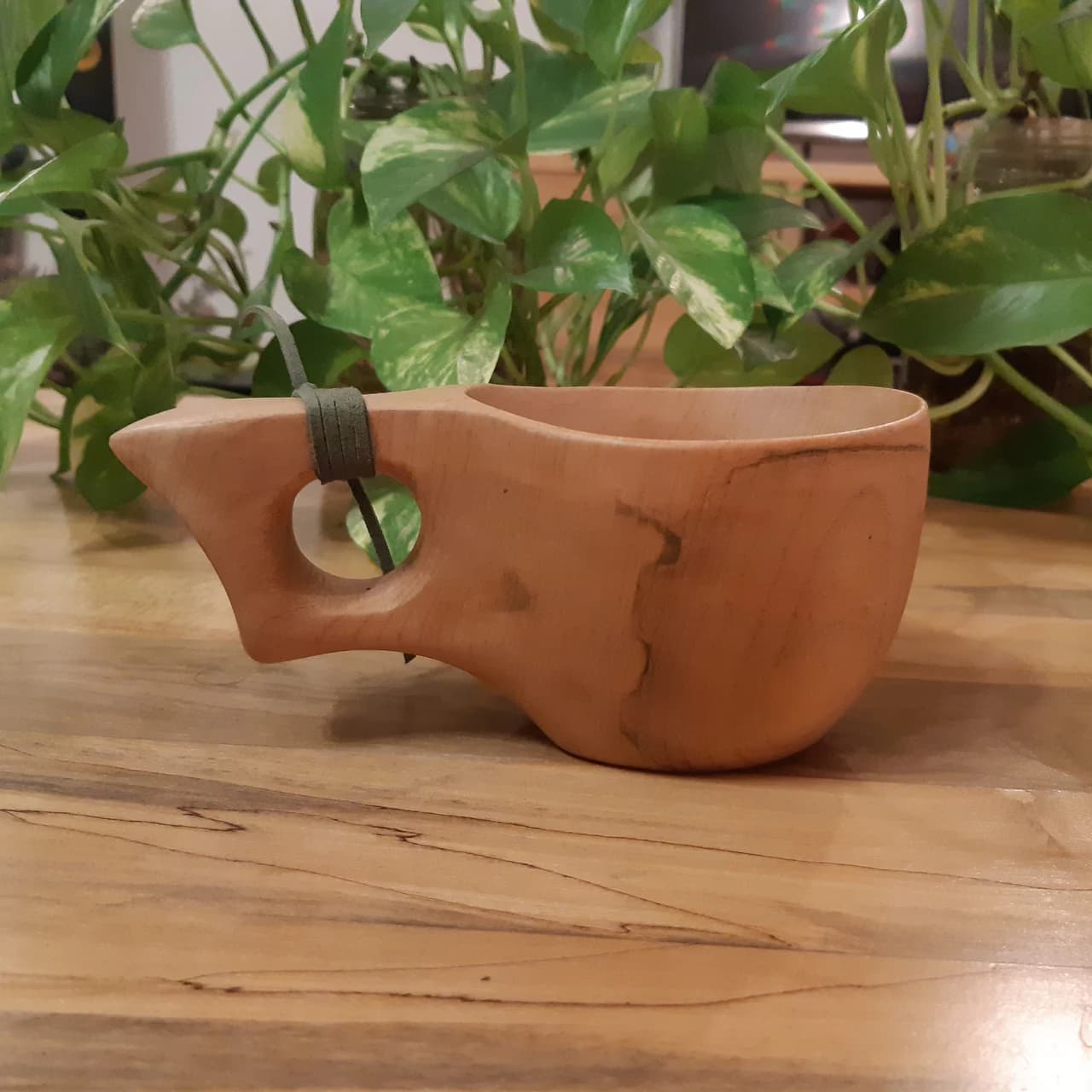 20190313 140049 by Zohreh Bakhshi