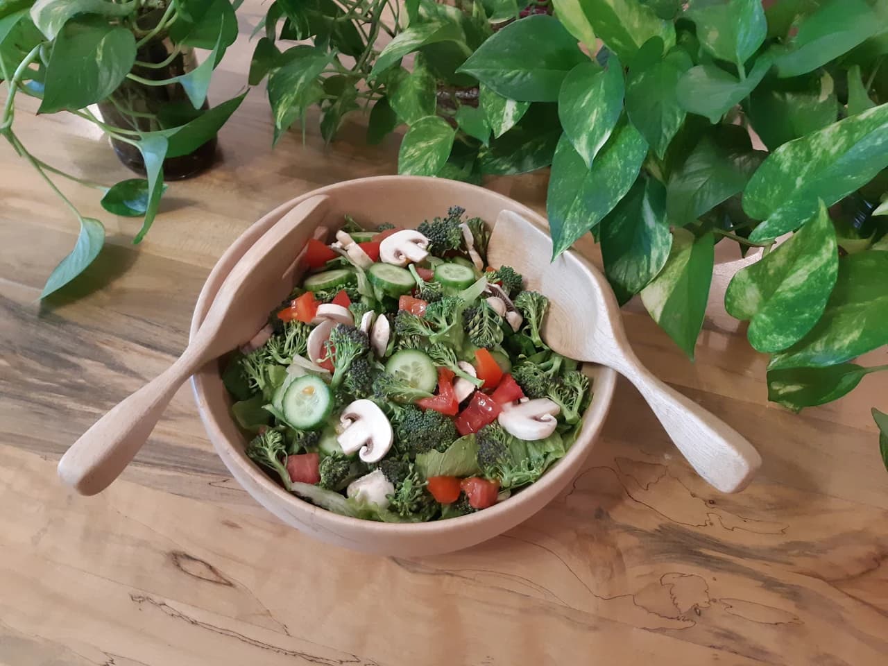 20190314 164918 by Zohreh Bakhshi