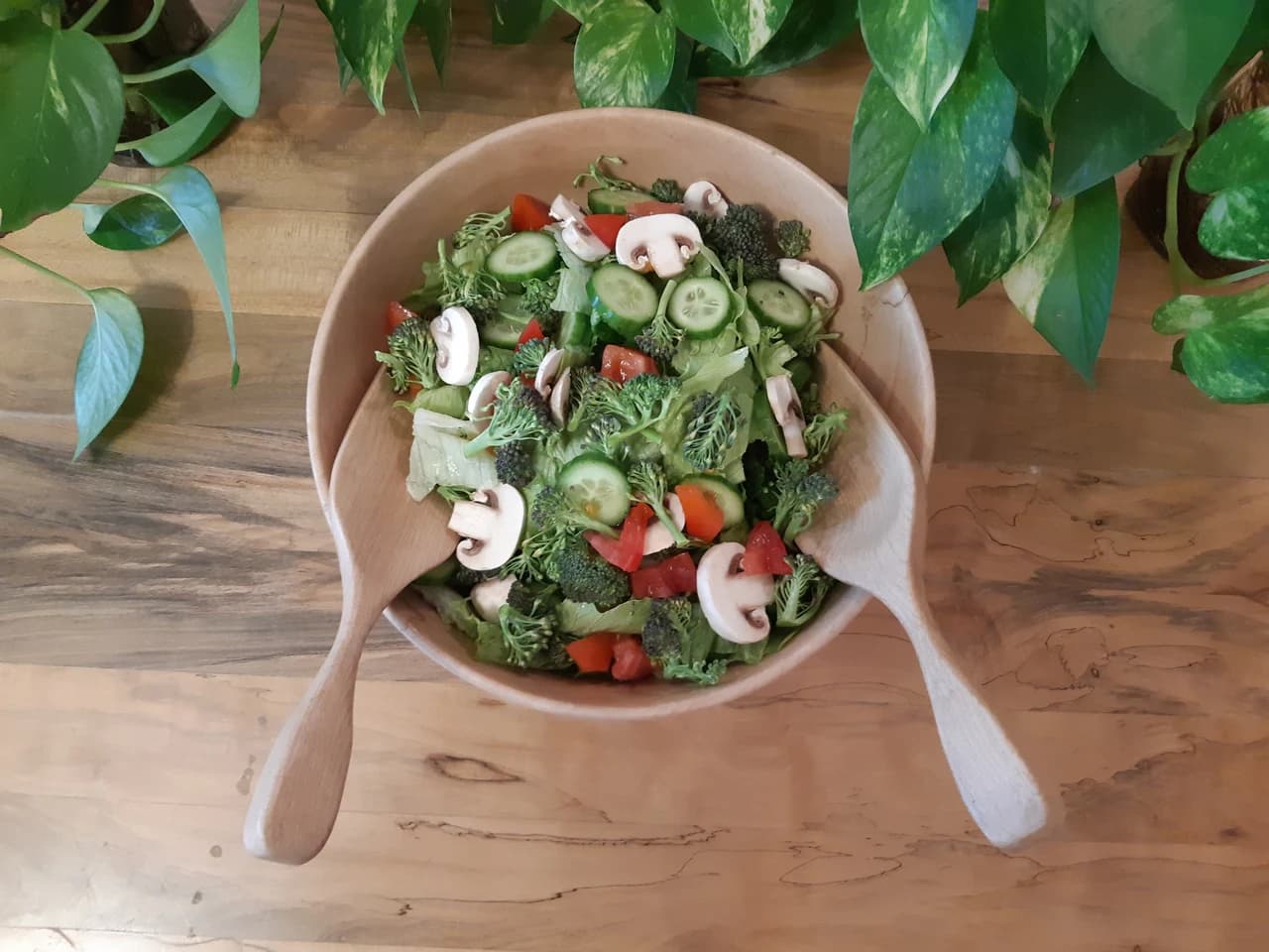 20190314 165013 by Zohreh Bakhshi