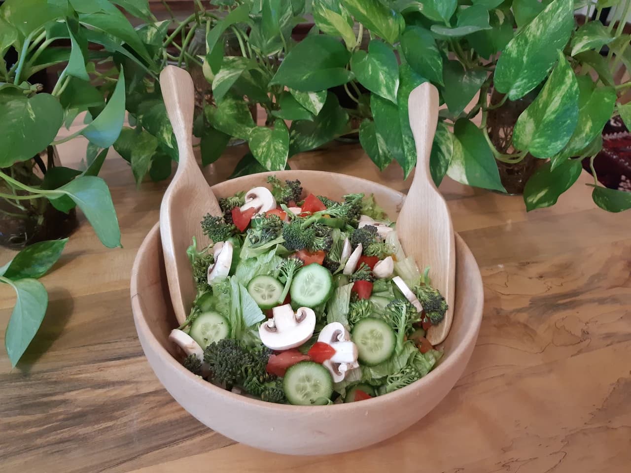 20190314 165029 by Zohreh Bakhshi