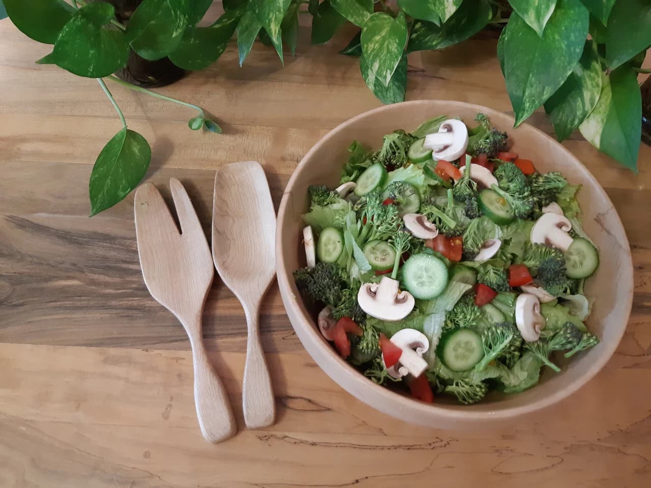 20190314 165131 by Zohreh Bakhshi