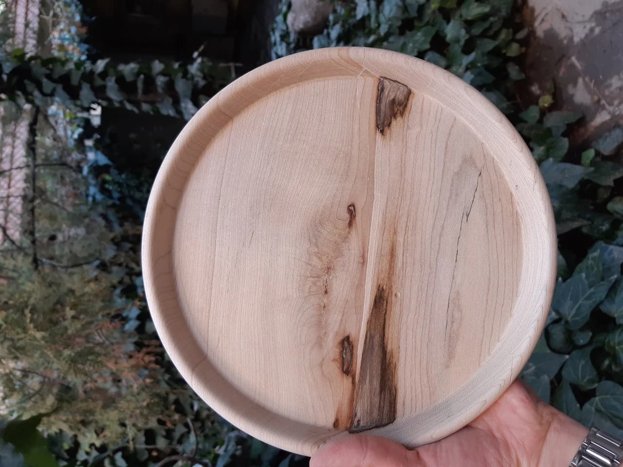 20210208 163559 by Zohreh Bakhshi