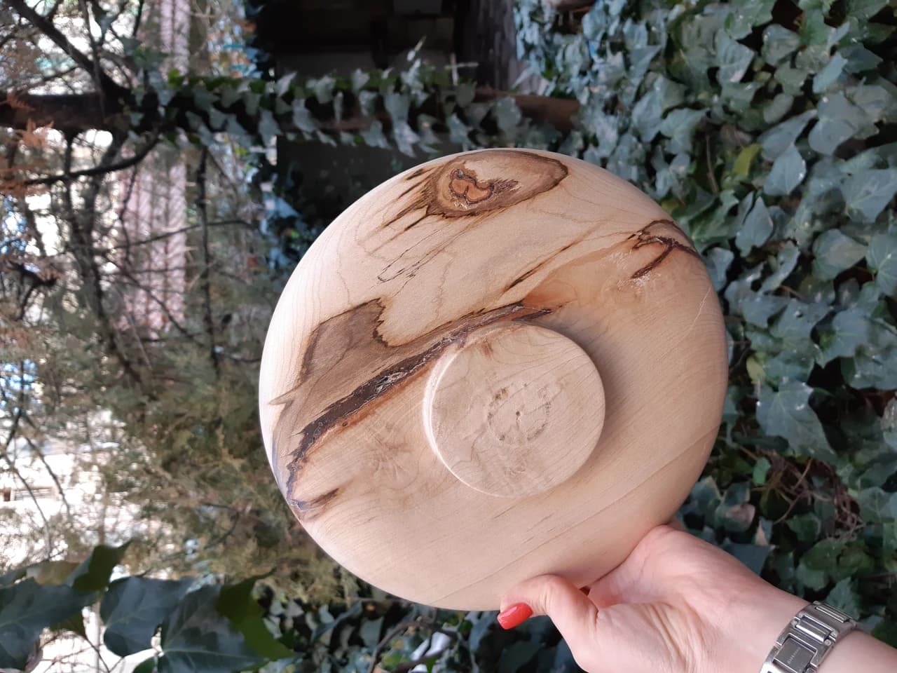 20210208 163645 by Zohreh Bakhshi