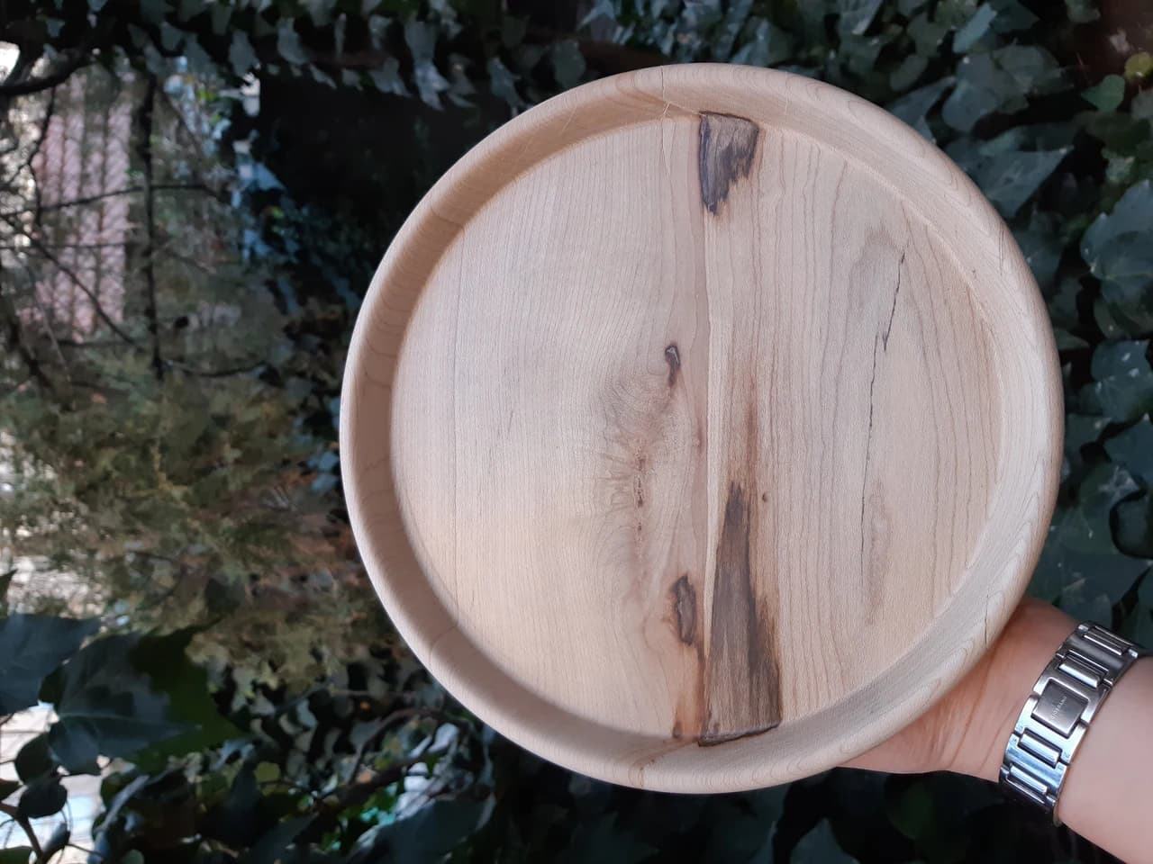 20210208 163713 by Zohreh Bakhshi