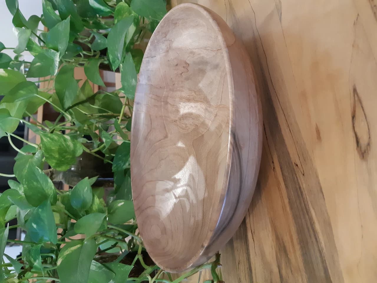 20210319 163600 by Zohreh Bakhshi