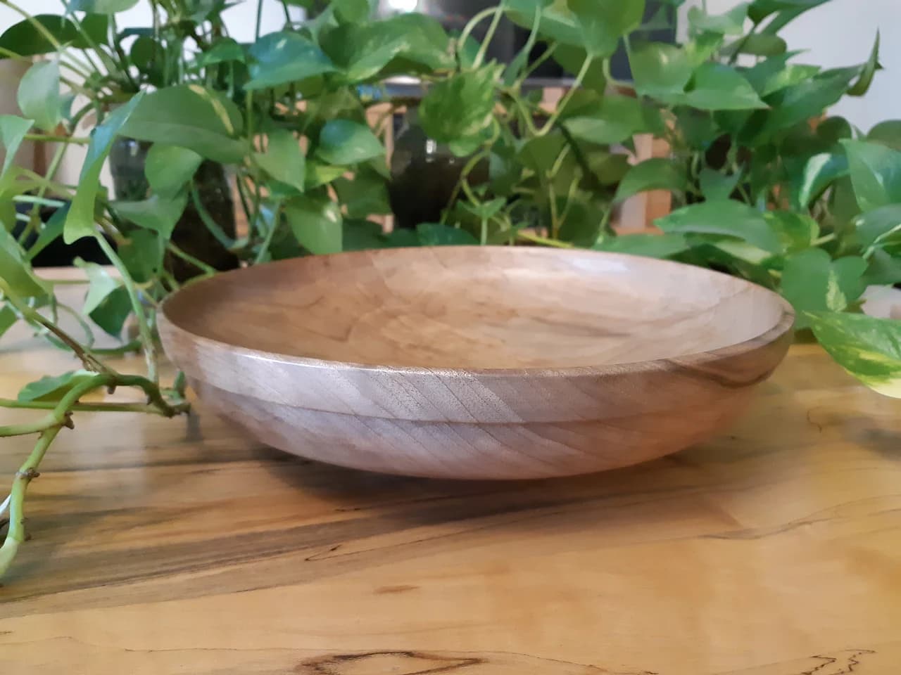 20210319 163650 by Zohreh Bakhshi