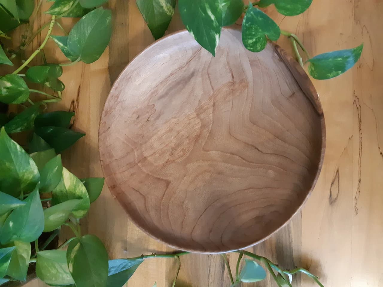 20210319 163746 by Zohreh Bakhshi