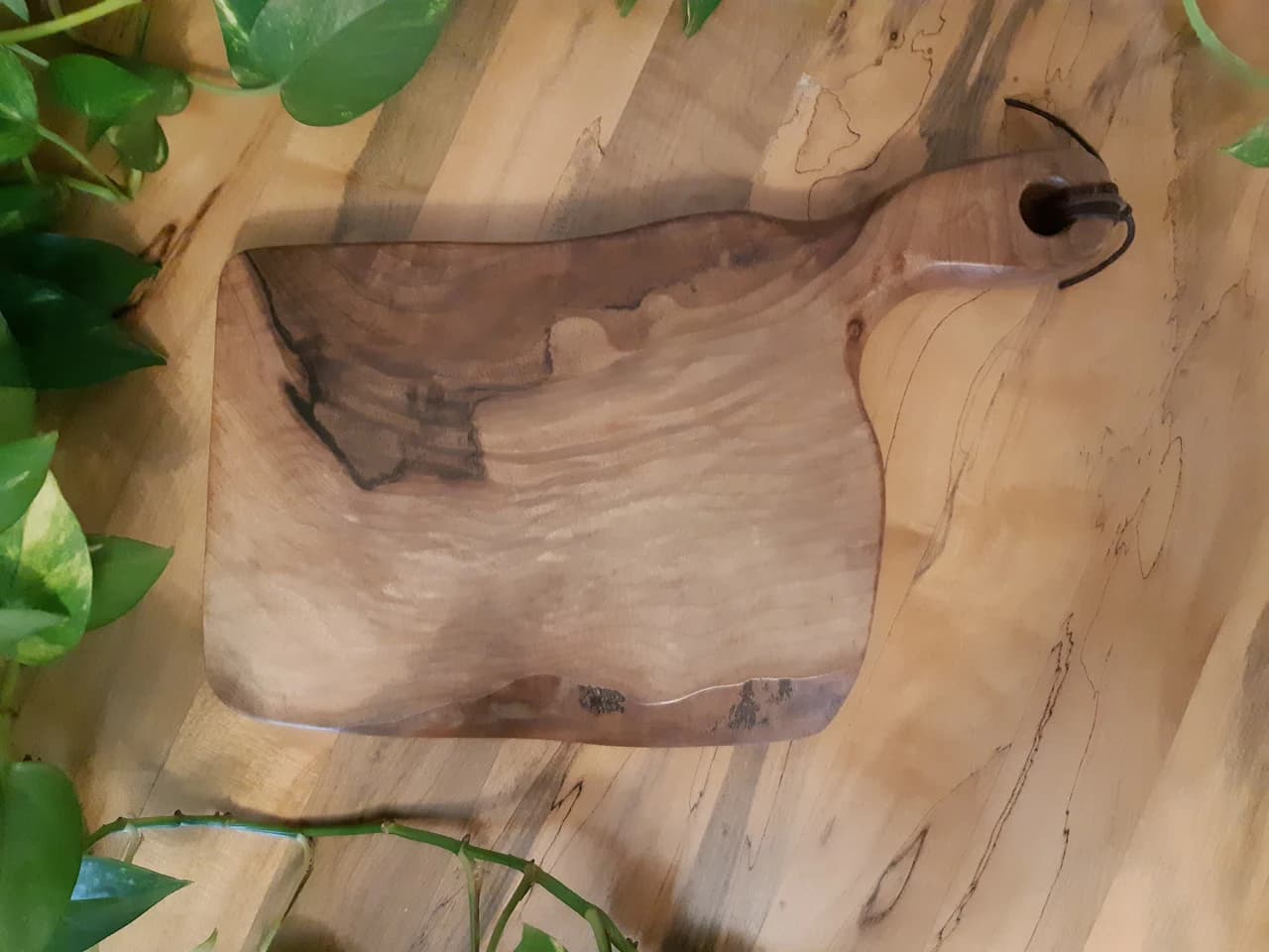 20210319 163830 by Zohreh Bakhshi