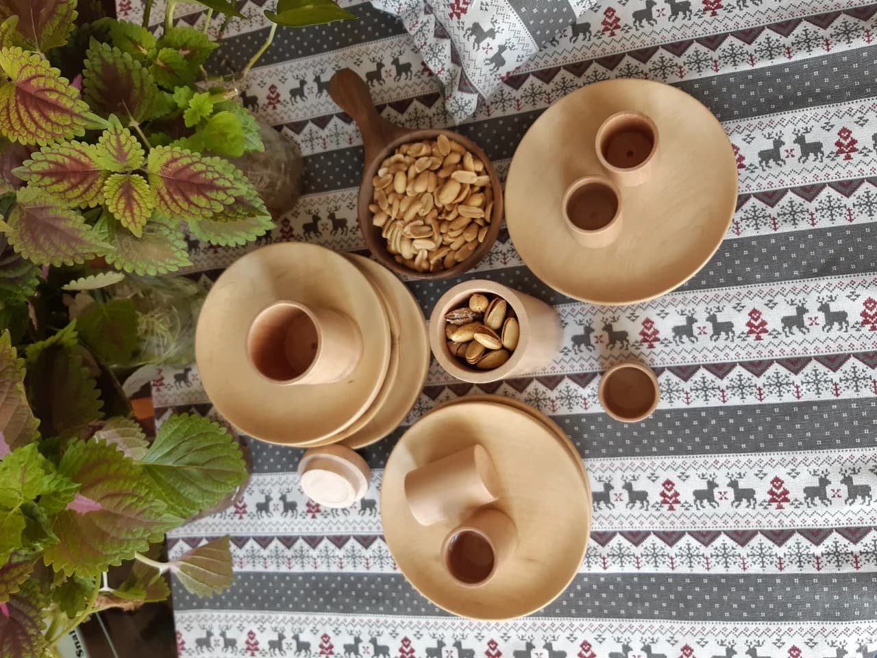 20210405 121322 by Zohreh Bakhshi