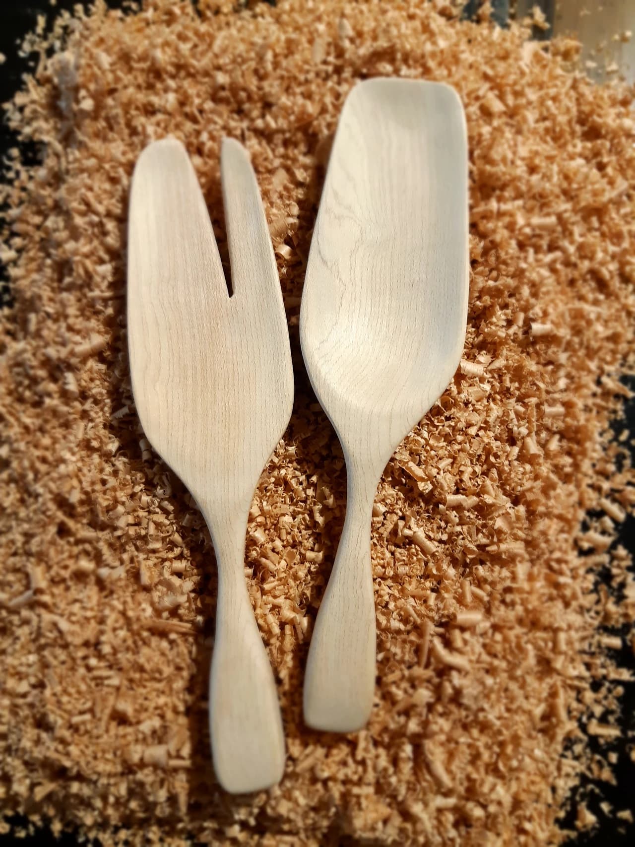 20190206 174824 by Zohreh Bakhshi