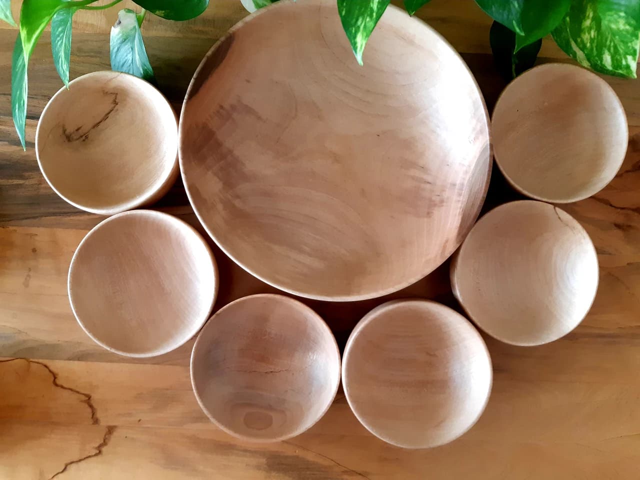 20190221 150646 by Zohreh Bakhshi