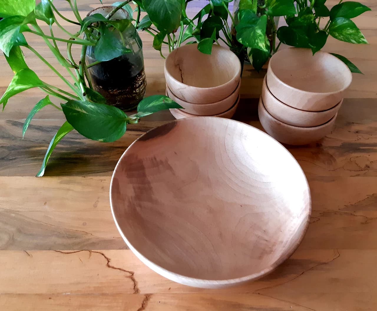 20190221 155713 by Zohreh Bakhshi