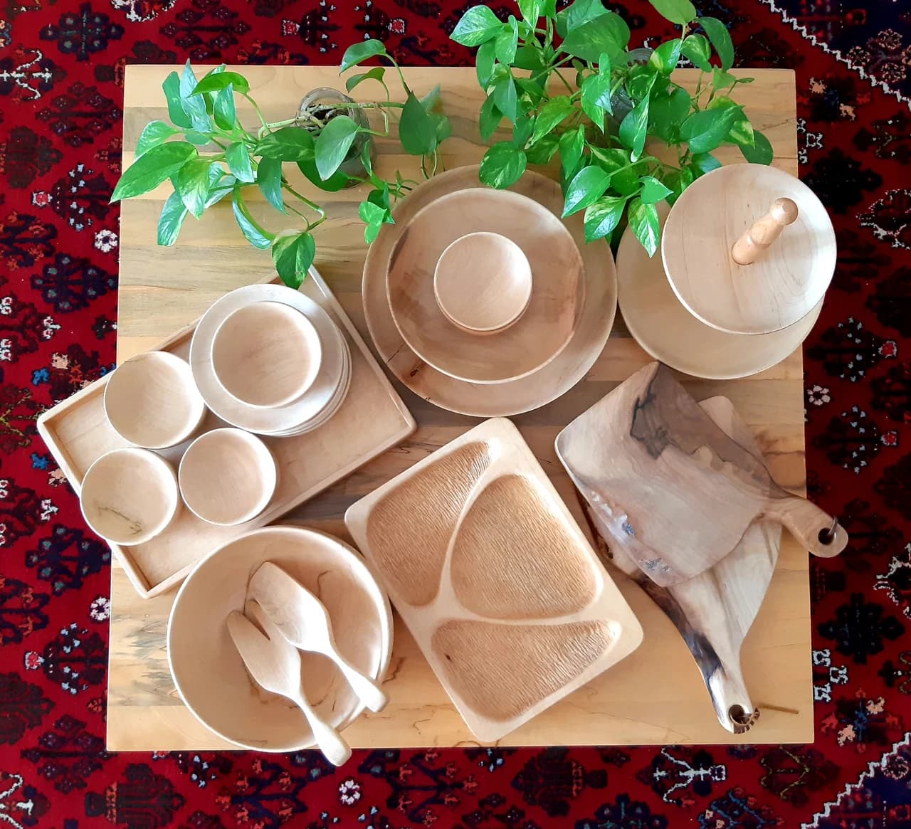 20190302 134818 by Zohreh Bakhshi