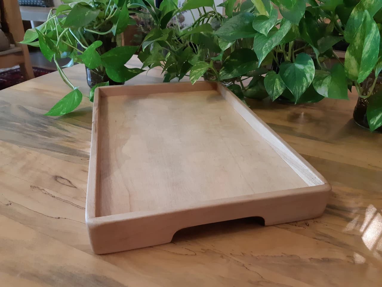 20190314 155431 by Zohreh Bakhshi