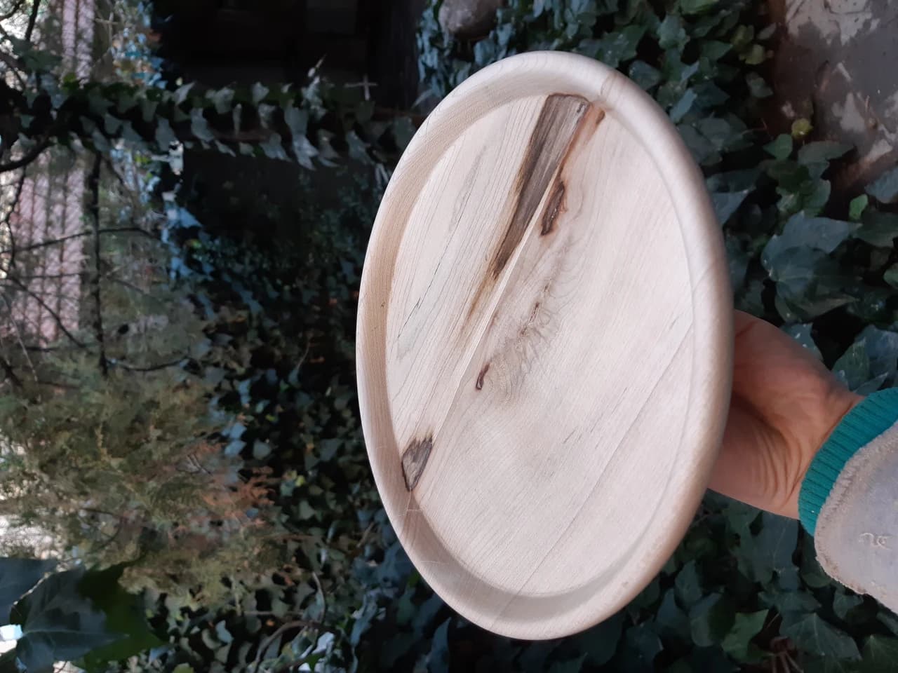 20210208 163512 by Zohreh Bakhshi