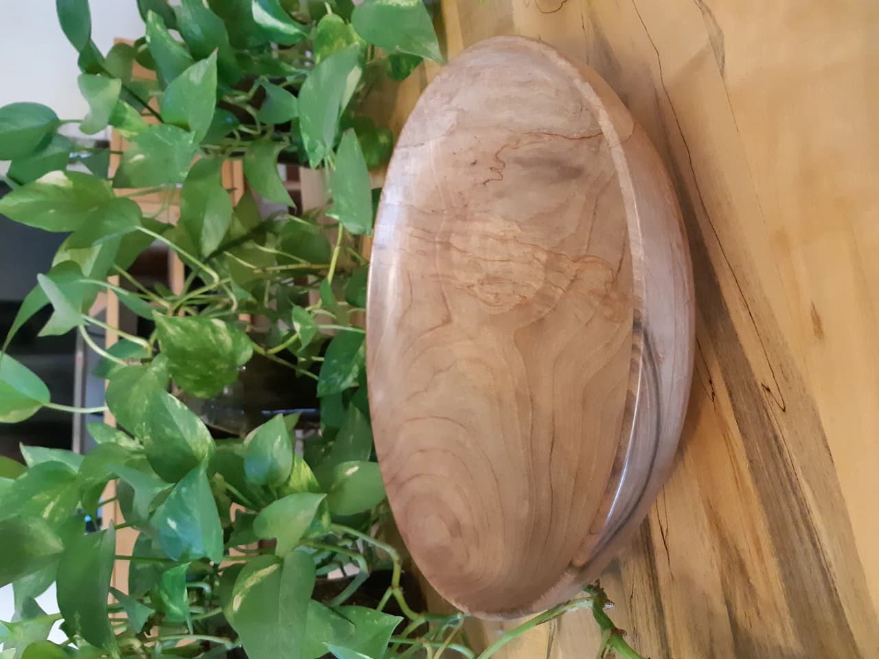 20210319 163619 by Zohreh Bakhshi