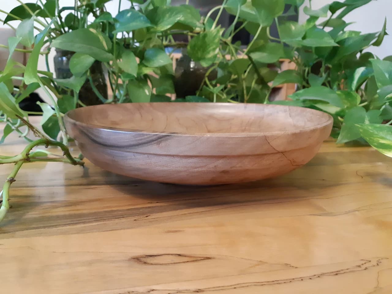 20210319 163632 by Zohreh Bakhshi