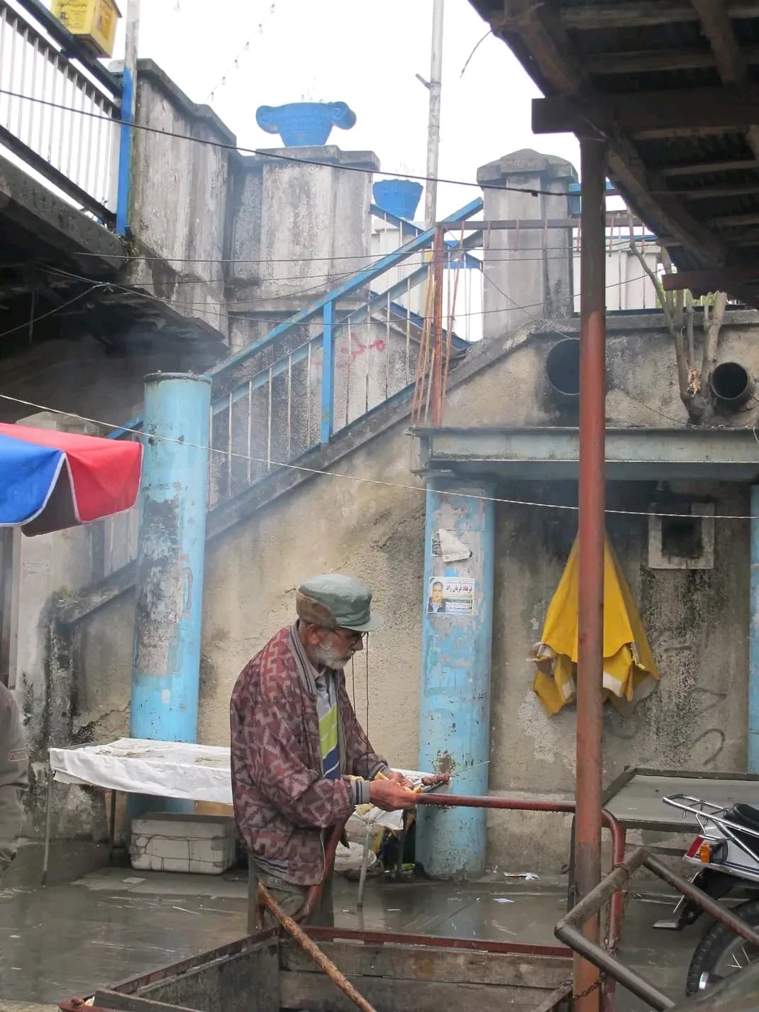 FB IMG 16743172462009619 by Zohreh Bakhshi