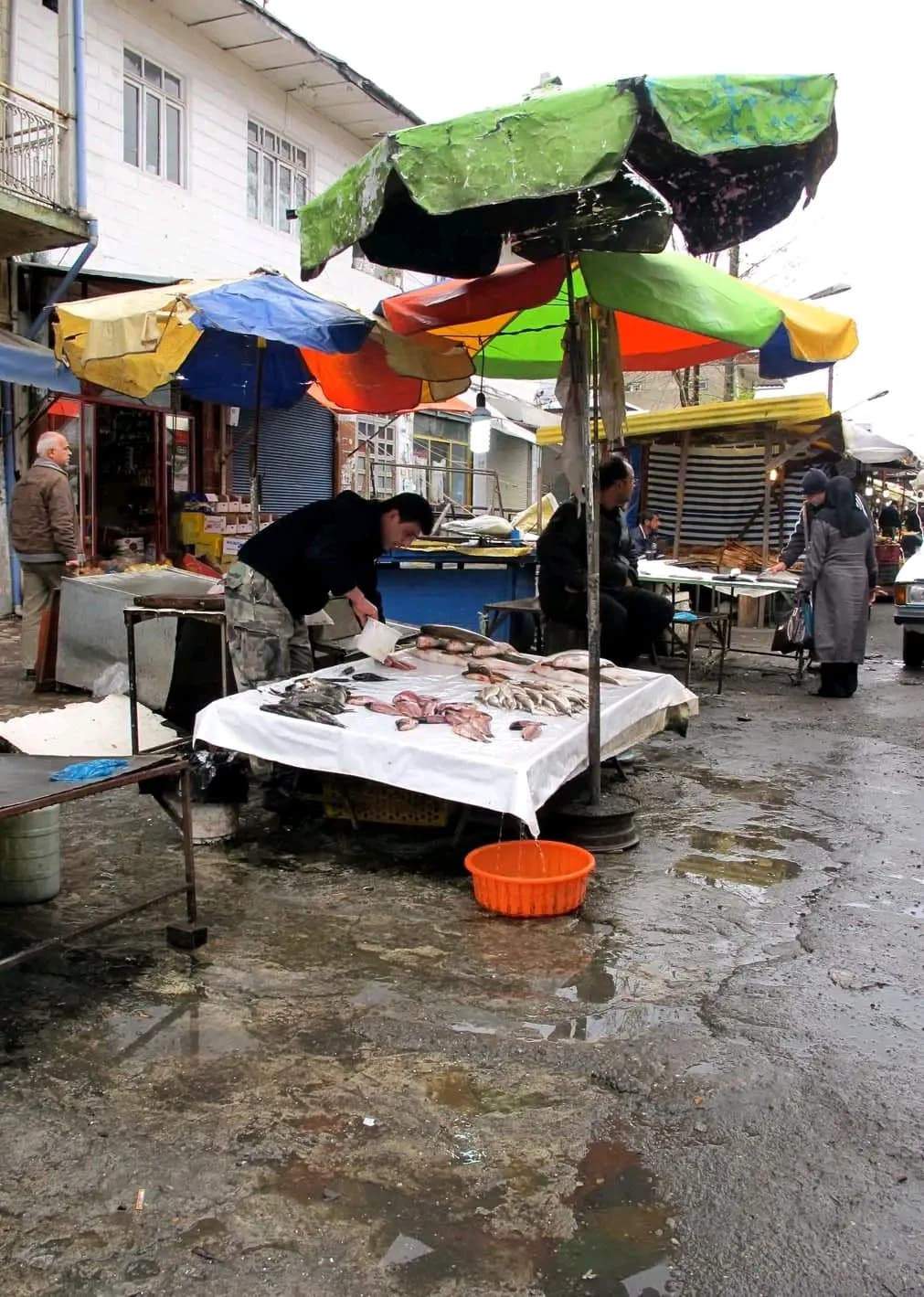 Anzali Market by Zohreh Bakhshi