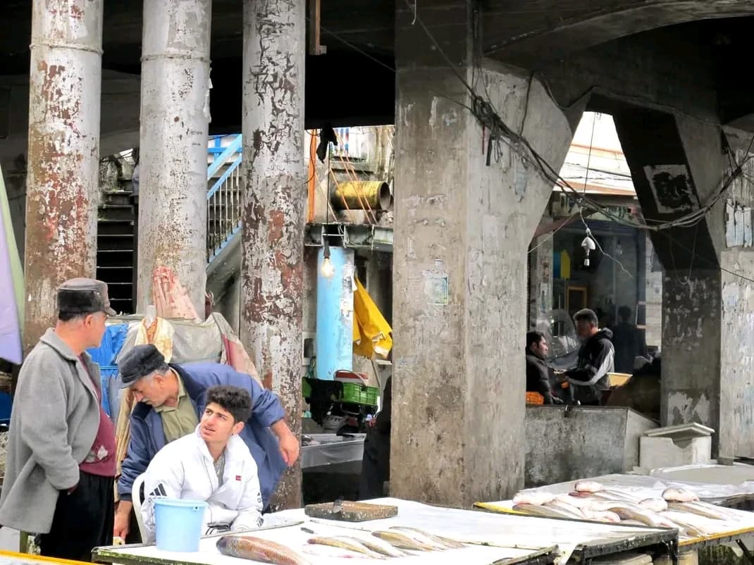 FB IMG 16743172646309152 by Zohreh Bakhshi