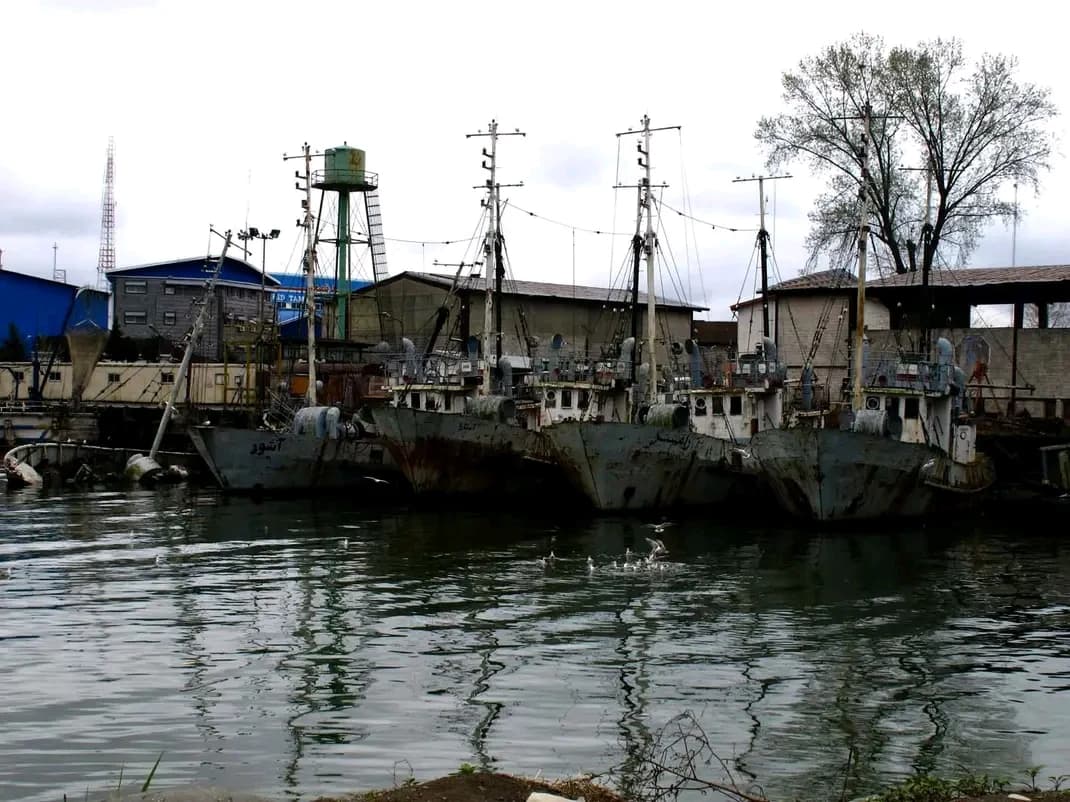 FB IMG 16743175080671397 by Zohreh Bakhshi