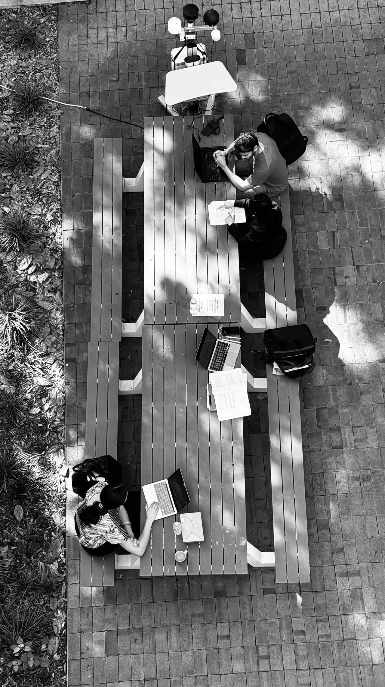 IMG 1134 copy by Zohreh Bakhshi