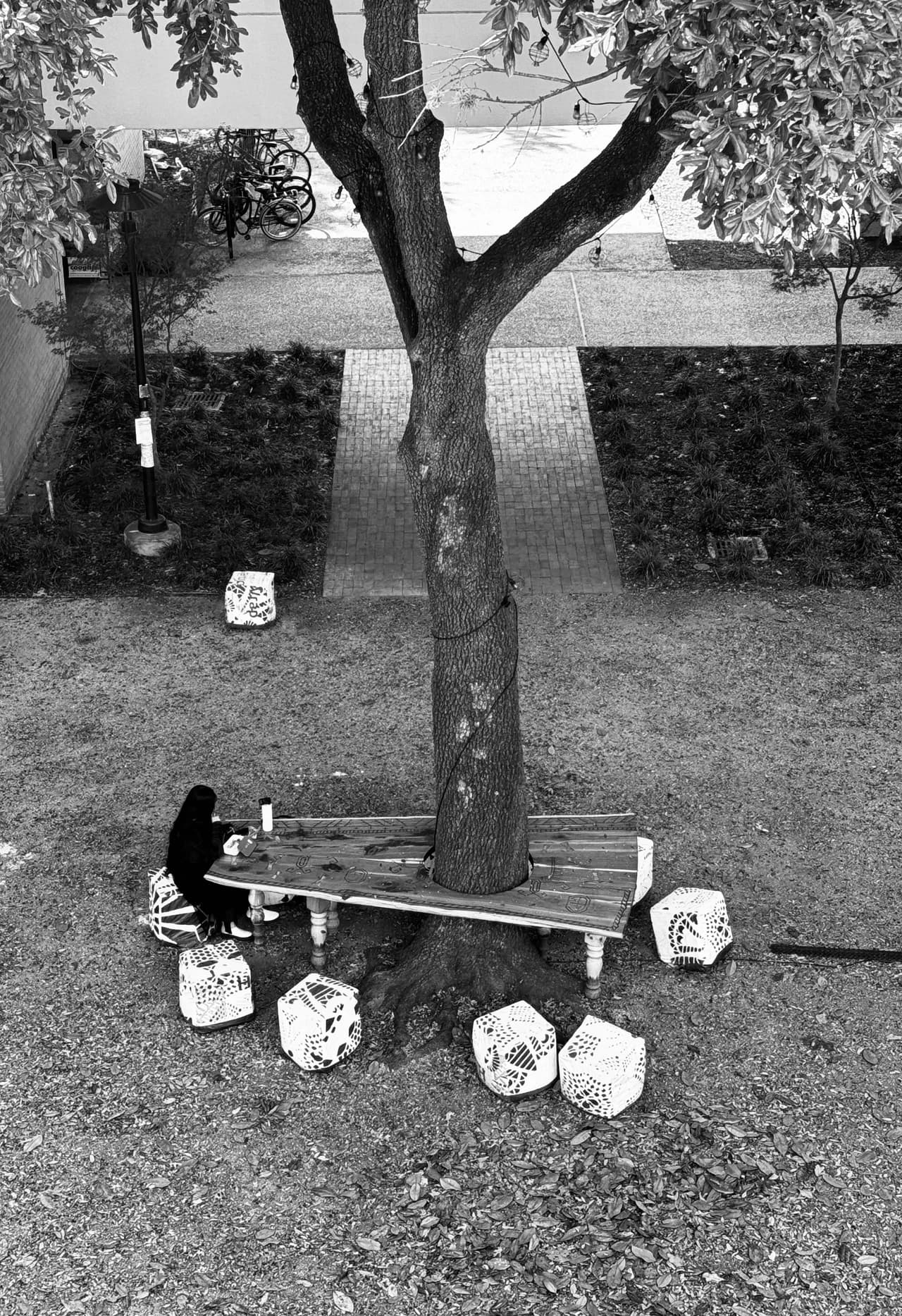 IMG 1135 copy by Zohreh Bakhshi