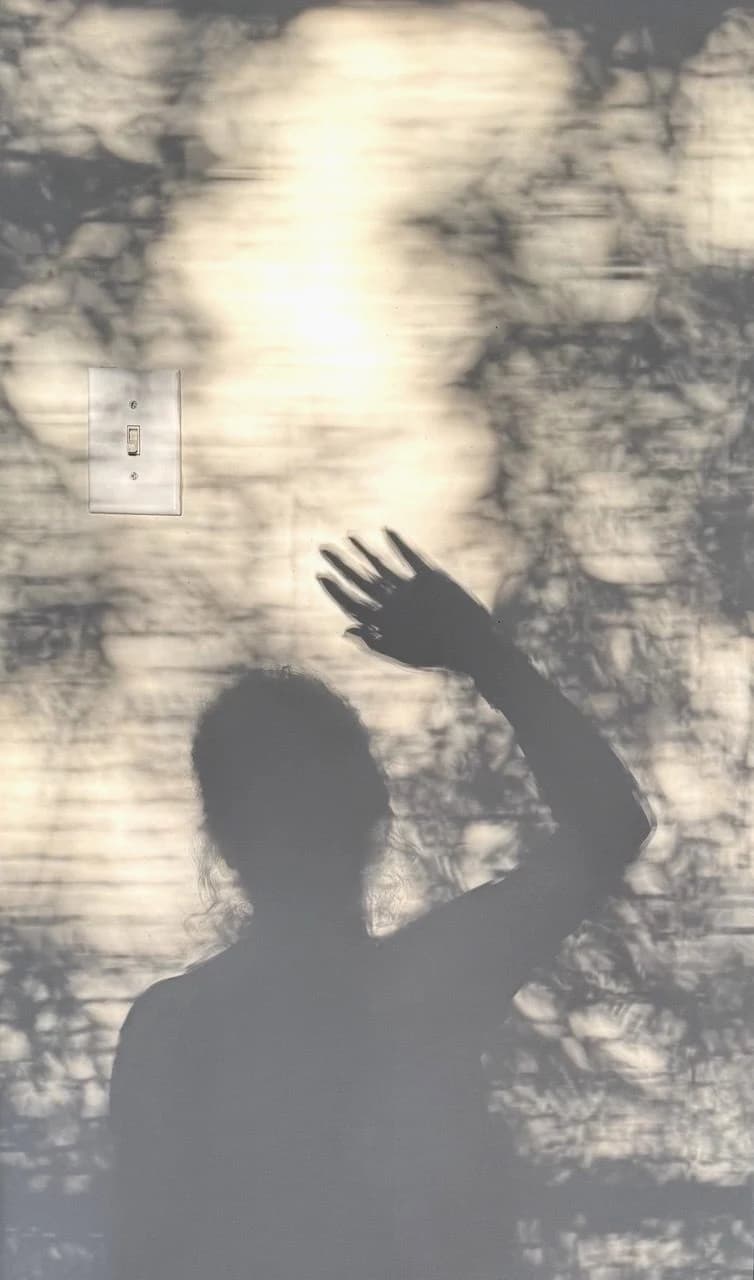 photo 2025-07-02 20-22-13 by Zohreh Bakhshi