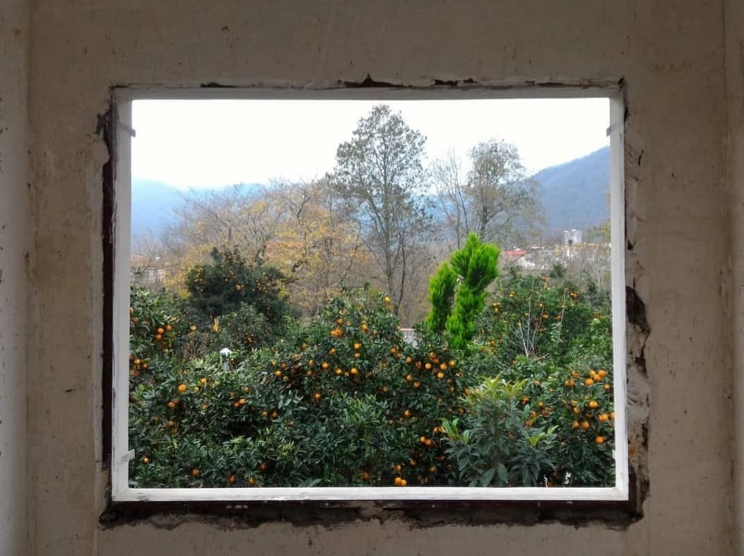 Window onto the Orange Grove