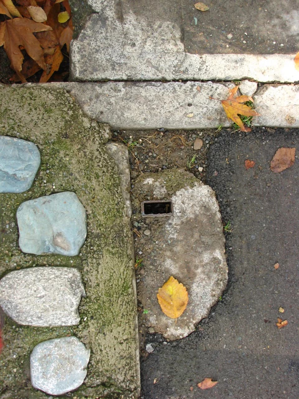 Stones and a Fallen Leaf