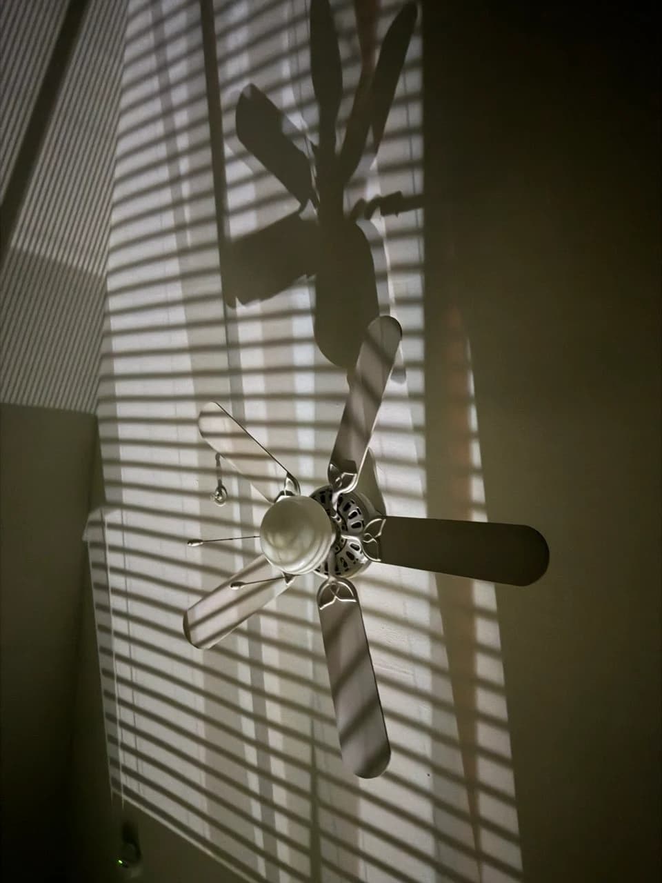 Ceiling Fan, Blind Light