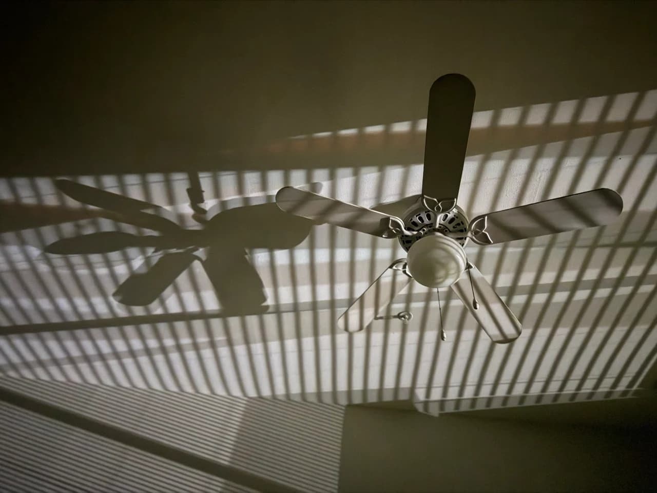 Ceiling Fan, Blind Light