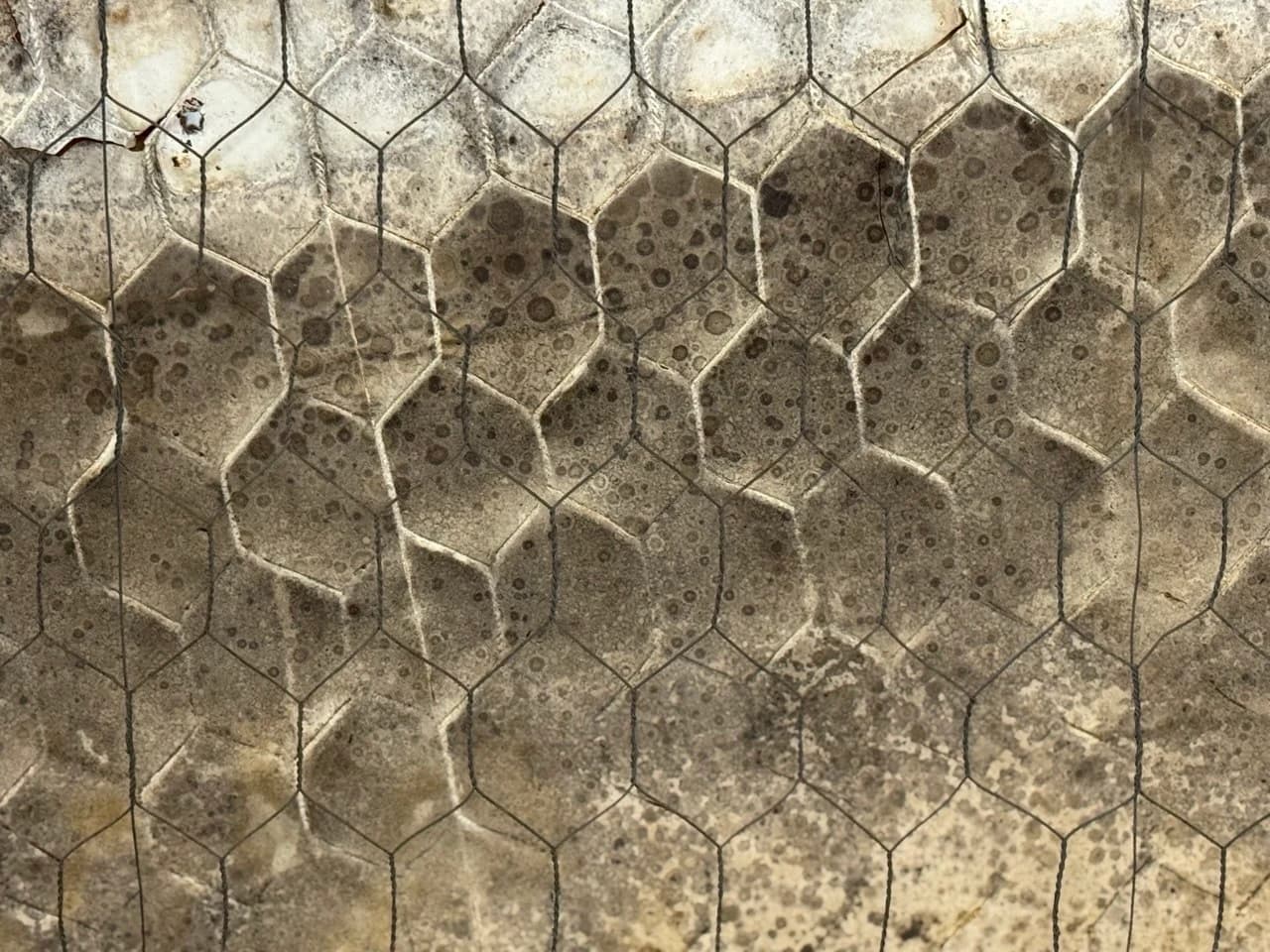 Honeycomb Glass