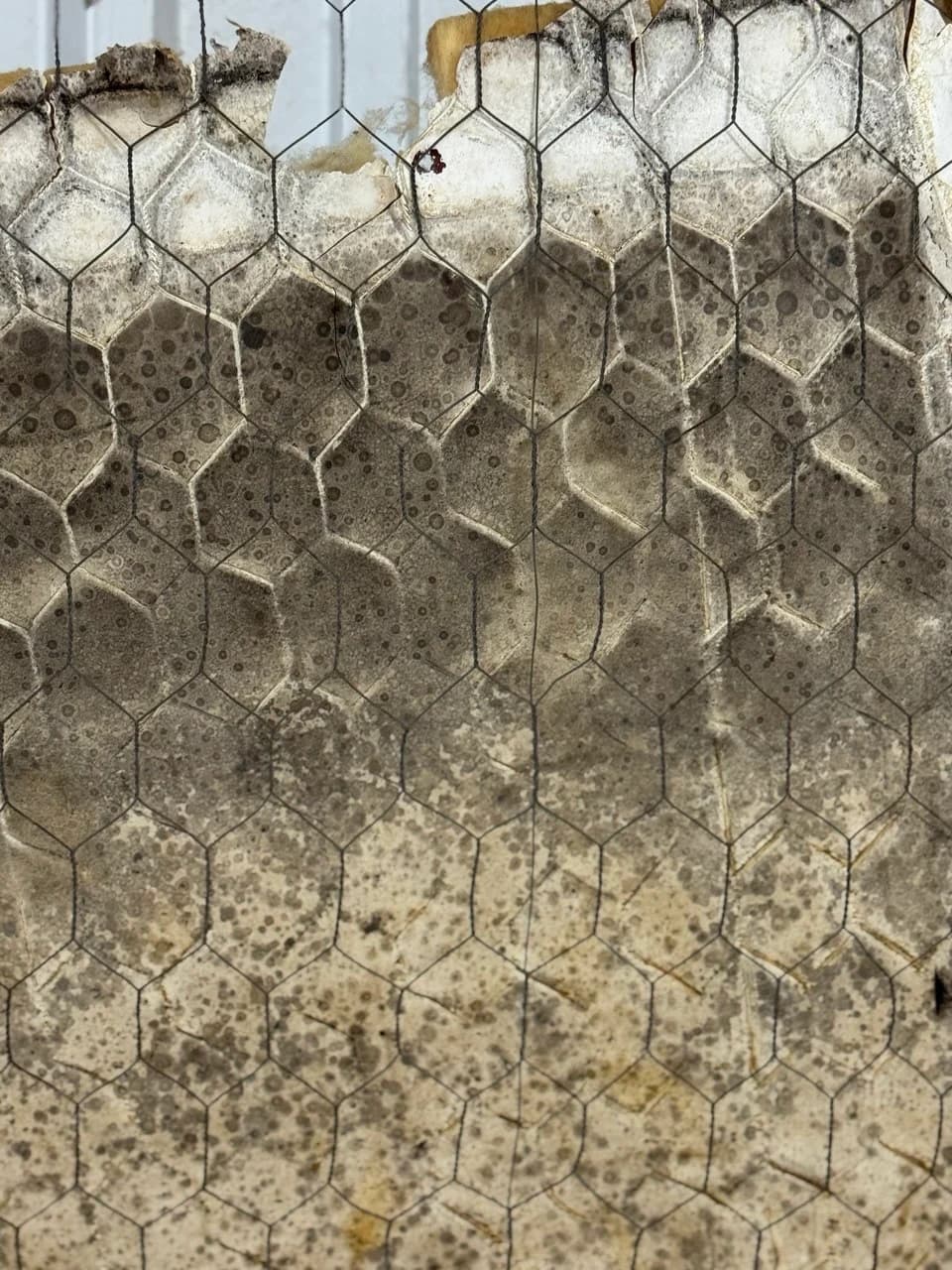 Honeycomb Glass