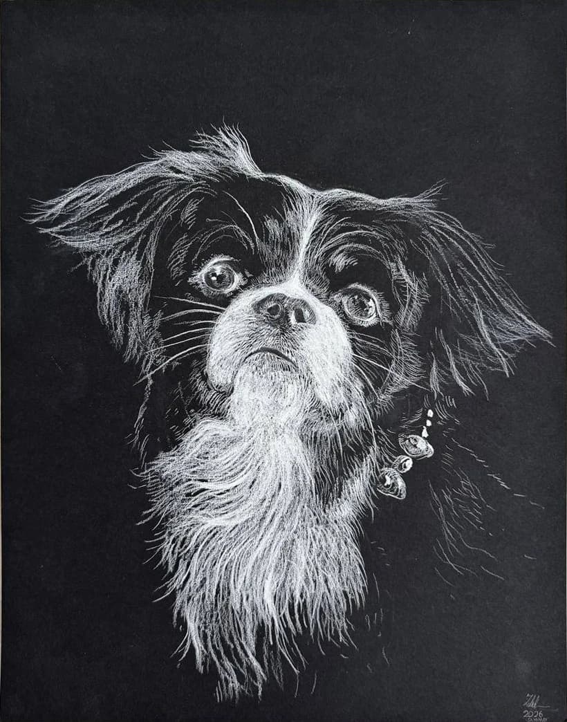 A dog portrait in white marks on black paper.